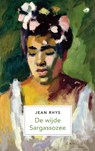 De wijde Sargassozee - Jean Rhys - 9789493081451