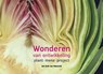 Wonderen van ontwikkeling - Jan Diek van Mansvelt - 9789493175112