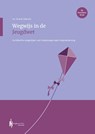 Wegwijs in de Jeugdwet - W.M.B. Elferink - 9789493376274