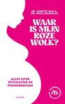 Waar is mijn roze wolk? - Babette Bais ; Nina Molenaar - 9789493422247