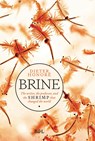 Brine - Dieter Honoré - 9789493428003