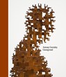 Antony Gormley. Geestgrond - Carolyn Christov-Bakargiev ; Antony Gormley - 9789493508538