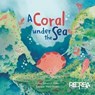 A coral under the sea - Sebastian Robert - 9789566163411