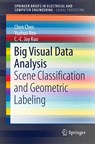 Big Visual Data Analysis - Chen Chen ; Yuzhuo Ren ; C.-C. Jay Kuo - 9789811006296
