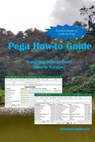 Pega How-to Guide: Exporting Data to Excel (How-to Version) - Jimmy J. C. - 9789811703119
