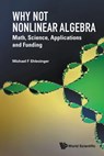 WHY NOT NONLINEAR ALGEBRA - Shlesinger Michael F - 9789819815739