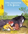 Une naissance à la ferme - Maylis Daufresne - 9791036341939