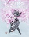 The Big Photo Book of Cats, Kittens, and Kitties - LAURETTI,  Jennifer - 9791188195114