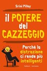 Il potere del cazzeggio - Srini Pillay - 9791222114705