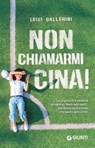 Non chiamarmi Cina! - Luigi Ballerini - 9791223282755