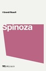 Spinoza - Alberto Peratoner ; AA.VV. - 9791255011156
