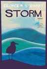 Storm - Don Carpenter - 9791255511175