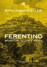 Ferentino sfumature di luce e storia - Biancamaria Valeri - 9791259508522