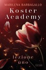 Koster Academy. Lezione uno - Marilena Barbagallo - 9791259575005