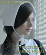 No Place Like An Amish Home - Stephanie Swift - 9798201044510