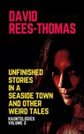 Unfinished Stories in a Seaside Town and Other Weird Tales - David Rees-Thomas - 9798201372897
