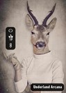 Underland Arcana 8 - D. T. O'Conaill ; Joshua Flowers ; Michelle Muenzler ; Christi Nogle ; Brandon H. Bell ; H. L. Fullerton ; Elad Haber ; J. Anthony Hartley ; Wade Peterson ; Bonnie Jo Stufflebeam - 9798201648381