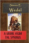 A Drink from the Springs - Steven E. Wedel - 9798215353592