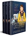 Cindy York Mysteries Boxed Set Books 1-3 - Catherine Bruns - 9798215978306