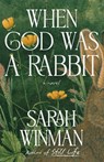 When God Was a Rabbit - Sarah Winman - 9798217181247