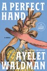 A Perfect Hand - Ayelet Waldman - 9798217287864