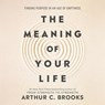 The Meaning of Your Life: Finding Purpose in an Age of Emptiness -  - 9798217412792