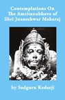 Contemplations On The Amritanubhava of Shri Jnaneshwar Maharaj - Kedarji - 9798218232573