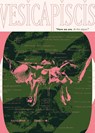 Vesicapiscis - Aubrey Birch - 9798218411626