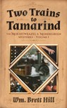 Two Trains to Tamarind: The Mountweazel and Mondegreen Mysteries, Volume 1 - Wm Brett Hill - 9798218756826