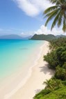 Retire in Paradise: Your Guide to the Philippines - Dustin Willis - 9798223311867