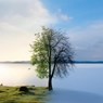 Seasons - Debra Gaskill ; John Finck ; Stephanie McDonald ; Vicki Pritchard ; Kim Lassiter ; Deborah Lassiter - 9798223320210
