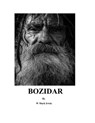 Bozidar - mark irwin - 9798223773238