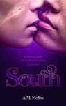 South - A.M. Molloy - 9798223898559