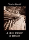 A Little Tumble in Tintagel - Christina Hamlett - 9798223953586