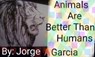 Animals are better than humans - Jorge Garcia - 9798224047000
