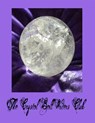 The Crystal Ball Writers Club - Dianthe Bells - 9798224131969
