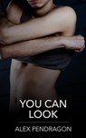 You Can Look - Alex Pendragon - 9798224304172