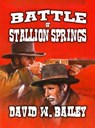 Battle of Stallion Springs - David W. Bailey - 9798224747542