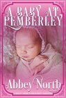 A Baby At Pemberley: A Sweet "Pride & Prejudice" Variation - Abbey North - 9798227170637