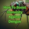 How To Boost Immunity Against Dengue - Sanjay kumar - 9798227191809