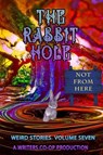 The Rabbit Hole VII: Not From Here - Thomas Wolosz ; Curtis Bausse ; GD Deckard ; Sandra Randall - 9798227277251