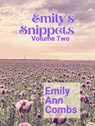 Emily's Snippets Volume Two - Emily Ann Combs - 9798227458346