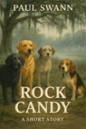 Rock Candy - Paul Swann - 9798227698247