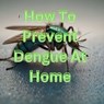 How To Prevent Dengue At Home - Sanjay kumar - 9798227856791