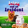 Icing and an Incident -  - 9798228562226