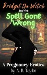 Bridget the Witch and the Spell Gone Wrong - A. B. Taylor - 9798230048596