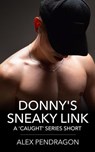 Donny's Sneaky Link - Alex Pendragon - 9798230313946