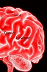 Lucid - David Lawson - 9798230532026