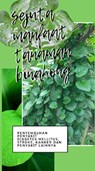 Sejuta Manfaat Binahong - I Putu Weda Kresna Witana ; Putu Fera Yanti Suhendri ; Putu Melya Ananda ; Komang Siska Paramita ; I Gusti Ayu Dina Lasmi Putri - 9798230668664
