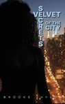Velvet Secrets of the City - Brooke Taylor - 9798230924814